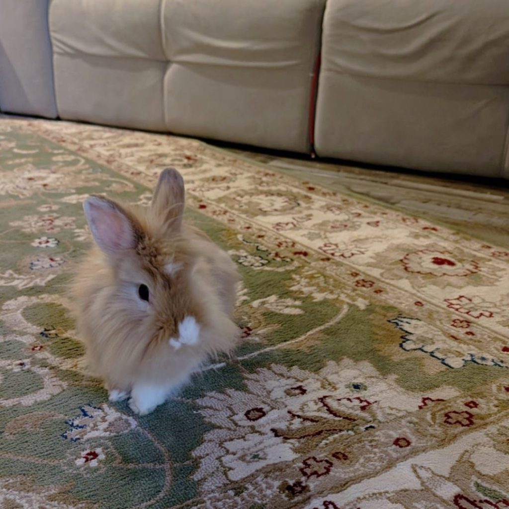 Sooo, I've got to baby sit this guy today.